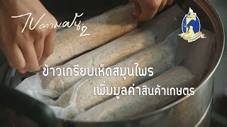 ข้าวเกรียบเห็ดสมุนไพร แปรรูปเพิ่มมูลค่า | #ไปตามฝัน2