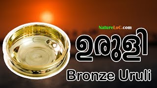 ഉരുളി(Bronze) -NatureLoC