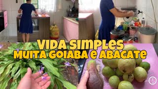 ✨NOSSA VIRADA DE ANO NOVO FOI INCRÍVEL *MUITA FARTURA DE FRUTAS NO MEU QUINTAL*