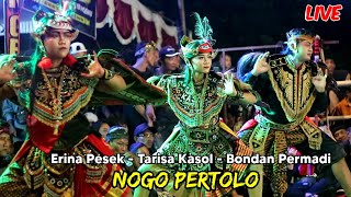 Bondan Permadi Tarisa Kasol Erina Ratu Celeng Jaranan Nogo Pertolo Live Ponorogo