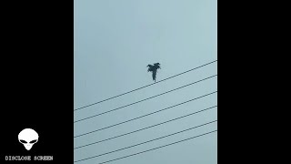 Floating humanoid figure over Moscow Russia \u0026 floating palm tree over west Hollywood?