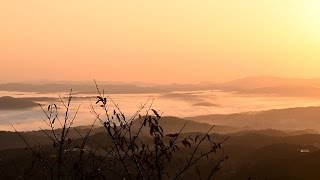 山頂まで満ちる雲の海（旅ぶら）