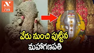 అమిత శక్తివంతుడు... శ్వేతార్క గణపతి | Significance of Swetharka Moola Ganapathi | Vinayaka Chavithi