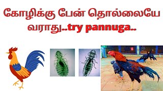 கோழிக்கு பேன் தொல்லையே வராது..try pannuga..