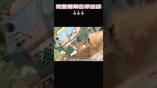 起亚 MTV 6×6 装甲卡车 起亚MTV装甲卡车 军用卡车