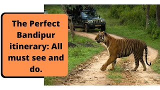 Bandipur full jungle safari for 3 hours + Serai Resort | Enjoy the music #yt  #tiger 🐅 #elephant 🐘