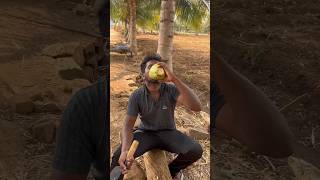 இந்த வெயிலுக்கு இளநீர் சாப்படுங்க 👌 @dsr_mallai_vlog #coconut #drinks #goundamani #comedy