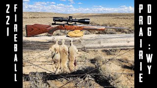 Howa Mini-Action .221 Fireball Prairie Dog Hunt - Short