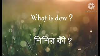 what is dew? Formation of dew, in Bengali. শিশির কি? শিশির তৈরির কারণ সম্পূর্ণ বাংলাই  |