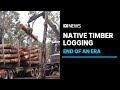 WA furniture makers say the end of native timber logging is a big blow for the industry ABC News