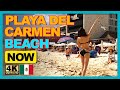 WALKING PLAYA DEL CARMEN BEACH 🇲🇽 2022 | Travel Guide | [4k]  Binaural Audio🎧