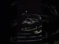 Visual representation of Echolocation by bats