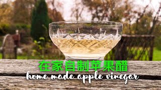 在家自制苹果醋  Home made apple vinegar