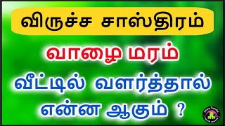 வாழை மரம் வீட்டில் வளர்த்தால் என்ன ஆகும் ?