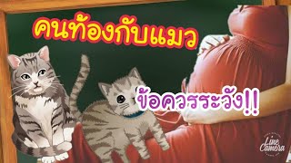 อันตราย คนท้องกับการเลี้ยงแมว | ข้อควรระวังในการเลี้ยงแมวของคนท้อง