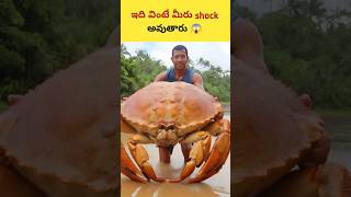 ఇది వింటే మీరు షాక్ అవుతారు😱 #youtube #facts #interestingfacts #amazingfacts #no1trending #animals