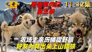 大型紀錄片【野狼復仇記】第三季11-12集，農場主親歷捕捉野狼，好友為其出頭上山獵狼