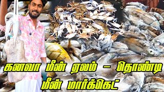 Thondi Fish Market Today's Auction Status | Beat Beat Live Auction 2025