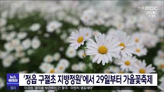 '정읍 구절초 지방정원'에서 29일부터 가을꽃축제 | 전주MBC 220926 방송