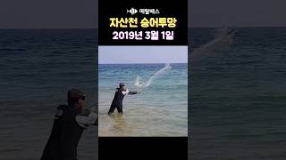 거진해변 자산천 숭어투망 유튜브 최초의 영상 리메이크,  5년전인 2019년 삼일절, 영상판독결과 바다투망달인 최경철 원투형님 #castnet #fishing #playpesca