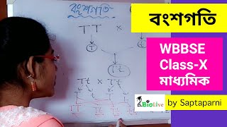 বংশগতি Heredity: WBBSE Class 10 Life science: মাধ্যমিক জীবনবিজ্ঞান: Chapter 3