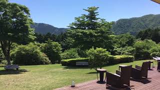 The new green at Hakone lake hotel 箱根レイクホテル テラス 新緑