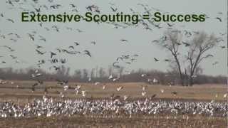 2012 Spring Snow Goose Hunting