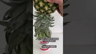 How to ripen a pineapple faster ? Read description for details!