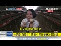 羨慕女生能當總統！諾魯小姐愛小英｜三立新聞台