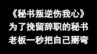 【原耽推文】《秘书叛逆伤我心》