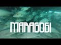 MERGULHO EM MARAGOGI