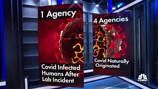 Intel agencies divided over Covid origins
