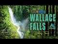 Wallace Falls in Spring | Hike Highlights | What to Expect | Near Seattle