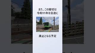 「山手線」の雑学 #shorts #雑学 #豆知識 #トリビア