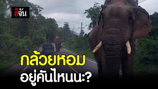 กล้วยหอมอยู่คันไหนนะ? | อีจัน EJAN