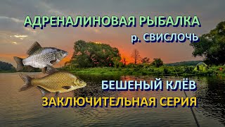 СТОЛЬКО РЫБЫ мы давно не ловили | Серия 3 | Свислочь 2022 | Рыбалка в Беларуси