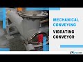 Mechanical conveying - Vibrating conveyor | Palamatic Process Inc.