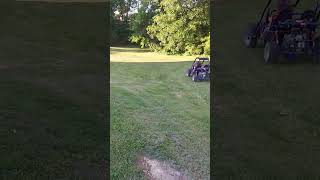 putting the new buggy to the test