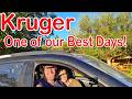 Kruger - The Cats were Hungry! Ep 725