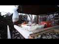 北海道野鳥live　～‘hokkaido bird watching live cam～2025.01.22