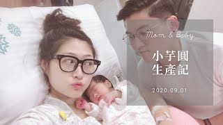 VLOG # 小芋圓剖腹產 生產記 Mom\u0026Baby  l Cherryrry雀蕊蕊