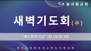 [부천늘사랑교회] 23.02.22 | 새벽기도회 | 베드로의 시선 | 마 14:28-29 | 박믿음 전도사