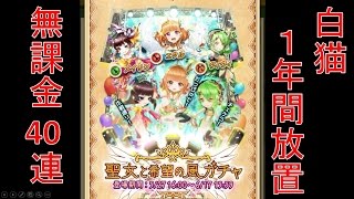 【白猫プロジェクト】 無課金４０連　１年間の詫び石使い果たす！