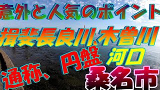 【三重県釣りポイント】三重県桑名市の揖斐、長良川、木曽川、河口の釣りの様子です2021年2月中旬！人気無いボラですが今が旬です！一度食べてみてください（刺身で）