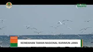 Menyelami Keindahan Taman Nasional Karimunjawa