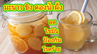 วิธีทำมะนาว ขิง ดองน้ำผึ้ง เสริมสร้างภูมิต้านทานให้แข็งแรง Lemon Ginger Honey tea.