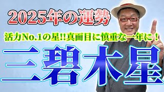 2025年「三碧木星」の運勢！活動力No.1の星が真面目に慎重な一年に!!