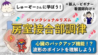 【ジャンクショナルってなに？】心臓のバックアップ機能である房室接合部調律を理解しよう！