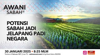 AWANI Sabah+: Potensi Sabah jadi jelapang padi negara