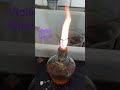 Salt Analysis | Potassium ion Flame Test